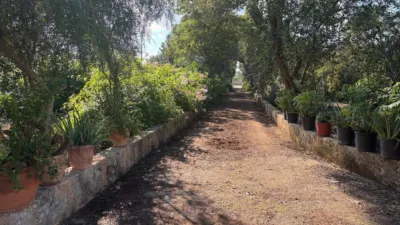 Chalet en Carrer d'Algaida photo 44