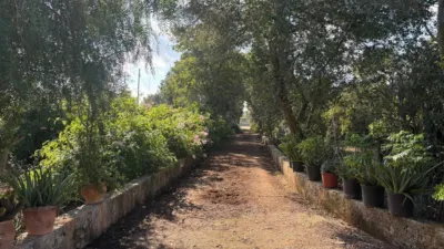 Chalet en Carrer d'Algaida photo 45