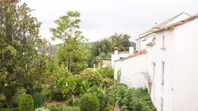 Rustic Finca in Andalucia photo 4