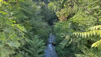 Rustic Finca in Andalucia photo 51