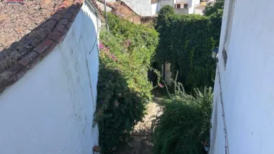 Rustic Finca in Andalucia photo 9