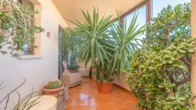 Apartment in Son Armadans photo 16