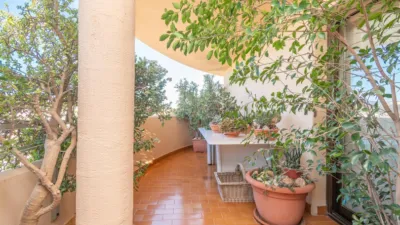 Apartment in Son Armadans photo 17