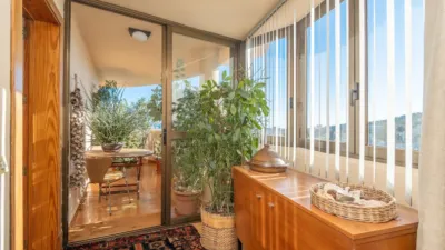 Apartment in Son Armadans photo 4