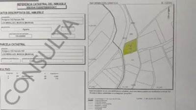 Finca rústica en venta en Machacanta, Los Ramos (Distrito Pedanías Este. Murcia Capital) de 150.000 €