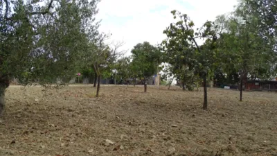 Chalet en venta en Castilleja del Campo, Castilleja del Campo de 265.000 €