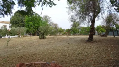 Chalet en venta en Castilleja del Campo, Castilleja del Campo de 265.000 €