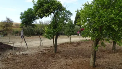 Chalet en venta en Castilleja del Campo, Castilleja del Campo de 265.000 €