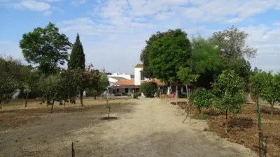 Chalet en venta en Castilleja del Campo, Castilleja del Campo de 265.000 €