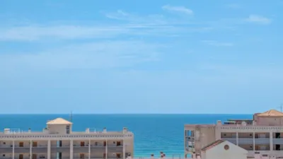 Piso – Elx - Elche - Vista 2