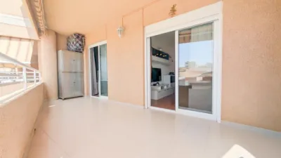 Piso – Elx - Elche - Más