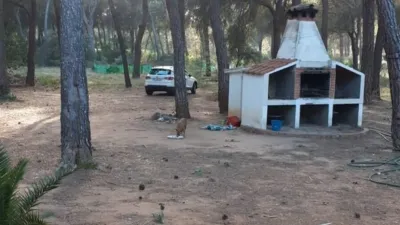 Chalet in Pinares del Júcar photo 9