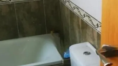 Apartment in Castilla La Mancha photo 12