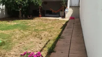 Chalet in Castilla La Mancha photo 3