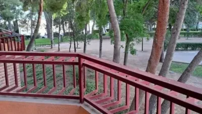 Apartment in Estacion photo 14