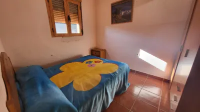 Rustic Finca in Abrucena photo 28