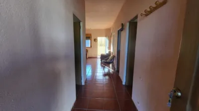 Rustic Finca in Abrucena photo 31
