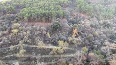 Rustic Finca in Abrucena photo 36