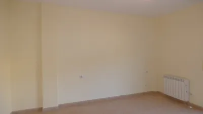 Apartment in Avinguda de Catalunya photo 11