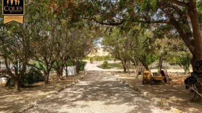 Chalet on Alifraga Street photo 8
