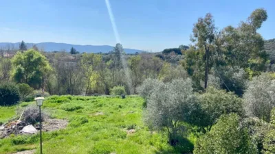 Miniatura 10