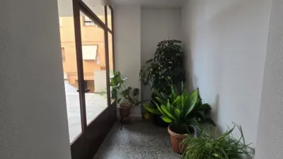 Duplex in Torrelaguna photo 25