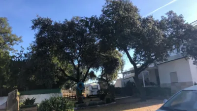 House in Andalusia photo 16