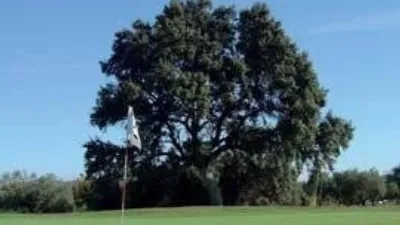 Casa adosada en Buenavista- Lauro Golf photo 20