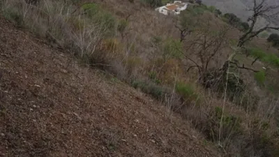 Rustic Finca on Calle Partido Las Tres Cruces photo 3