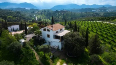 Chalet in South Of Spain photo 6
