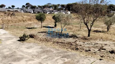 Rustic Finca in Santa Catalina photo 20