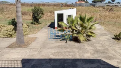 Rustic Finca in Santa Catalina photo 22