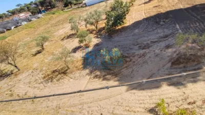 Rustic Finca in Santa Catalina photo 23