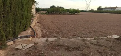 Rustic Finca in La Hoya photo 28