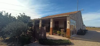Rustic Finca in La Hoya photo 43