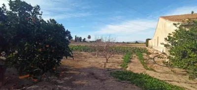 Rustic Finca in La Hoya photo 44