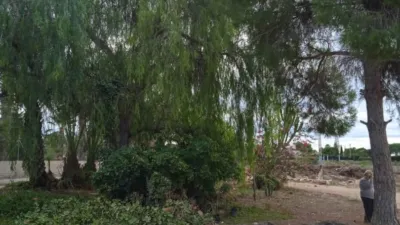 Rustic Finca in Maitino photo 37