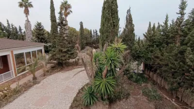 Chalet in Partida El Molar photo 15