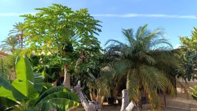 Chalet in Matola photo 40