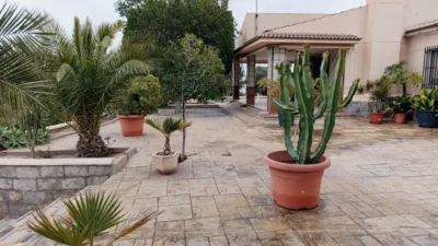 Chalet in Partida de Carrus photo 20