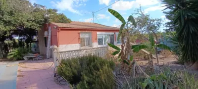 Rustic Finca in La Hoya photo 26