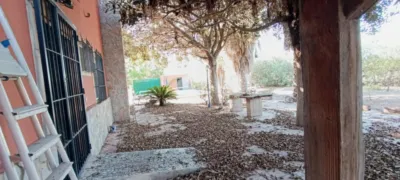 Rustic Finca in La Hoya photo 28