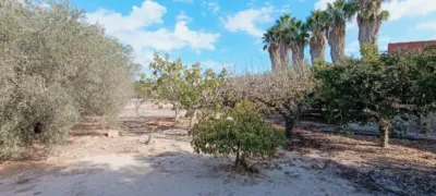 Rustic Finca in La Hoya photo 36