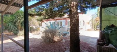 Casa – Elx / Elche, la Foia - Vista 3