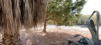Rustic Finca in La Hoya photo 41