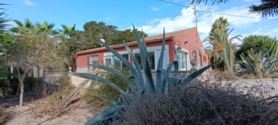 Rustic Finca in La Hoya photo 42