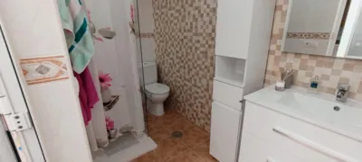 Ground Floor Flat in the Centre photo 12