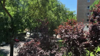 Piso en alquiler en Calle Colombia, cerca de Calle de Fernán Núñez - Imagen 24