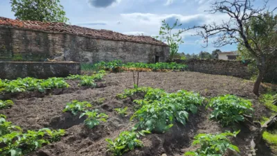 Rustic farm on Calle Lugar Feria photo 23