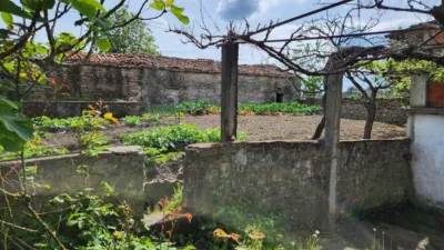 Rustic farm on Calle Lugar Feria photo 24